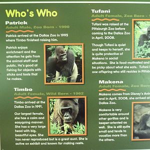 Gorilla Exhibit - Signage