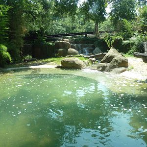 Nile Crocodile Exhibit