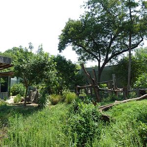Chimpanzee Exhibit