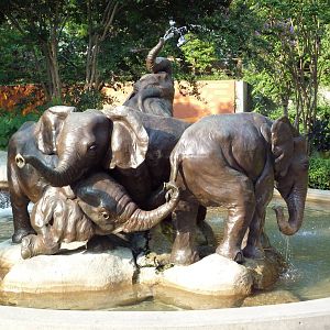 Elephant Statue