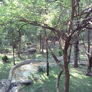 Monorail - Forest Habitat (Okapi)