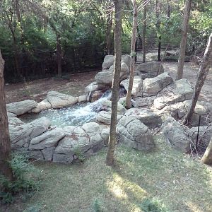 Monorail - Forest Habitat (Okapi)