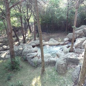 Monorail - Forest Habitat (Okapi)