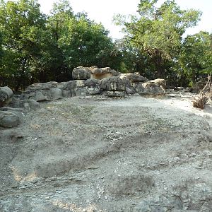 Monorail - Mountain Habitat (Nubian Ibex)