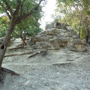 Monorail - Mountain Habitat (Nubian Ibex)