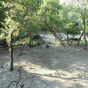 Monorail - Woodland Habitat (Grevy's Zebra)