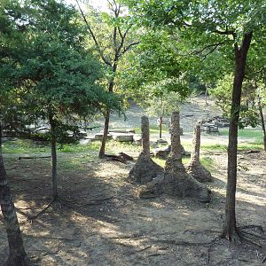 Monorail - Woodland Habitat (Grevy's Zebra)