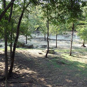 Monorail - Woodland Habitat (Grevy's Zebra)