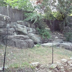 Monorail - Predator/Prey Habitat (Red-Flanked Duiker)