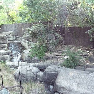 Monorail - Predator/Prey Habitat (Red-Flanked Duiker)