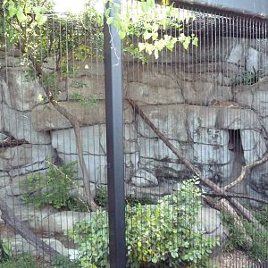 Monorail - Predator/Prey Habitat (Caracal)