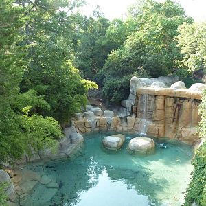 Monorail - River Habitat (Waterfowl)