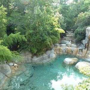 Monorail - River Habitat (Waterfowl)