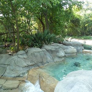 Monorail - River Habitat (Waterfowl)