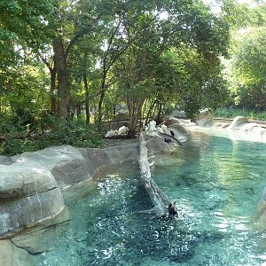 Monorail - River Habitat (Waterfowl)