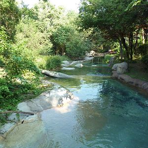 Monorail - River Habitat (Waterfowl)