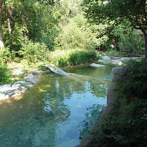 Monorail - River Habitat (Waterfowl)