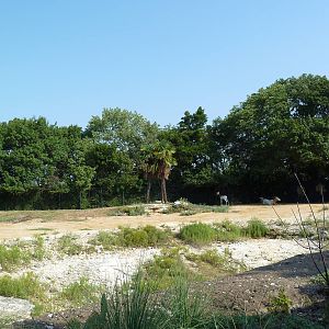 Monorail - Desert Habitat (Mixed-Species Exhibit)