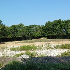 Monorail - Desert Habitat (Mixed-Species Exhibit)