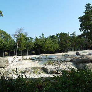 Monorail - Desert Habitat (Mixed-Species Exhibit)