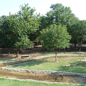 Monorail - Bush Habitat (Mixed-Species Exhibit)