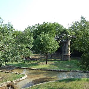 Monorail - Bush Habitat (Mixed-Species Exhibit)