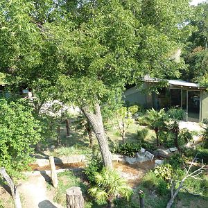 Monorail - Chimpanzee Exhibit