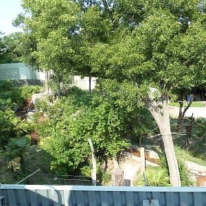 Monorail - Chimpanzee Exhibit