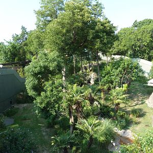 Monorail - Chimpanzee Exhibit