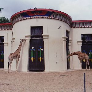 Zoo Antwerpen 1999 - Front of the Giraffe House