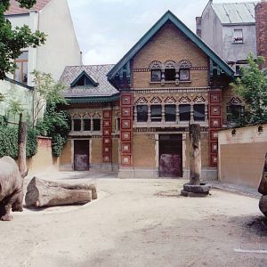Zoo Antwerpen 1999 - White Rhinoceros exhibit