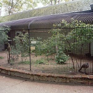 Zoo Antwerpen 1999 - Aviary