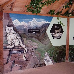 Planckendael 1999 - Snow Leopard exhibit signage