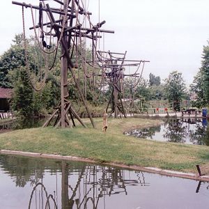 Planckendael 1999 - White-handed and White-cheeked Gibbon exhibit