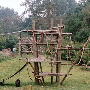 Planckendael 2002 - Bonobo exhibit