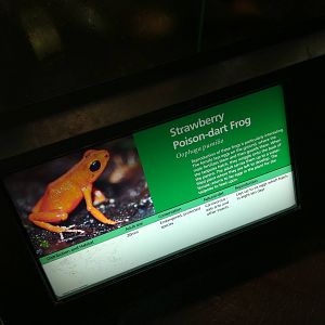 Signage Example - Manchester Museum 29.12.10