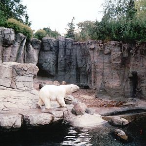 Aalborg Zoo 2002 - Part of the new Polar Bear exhibit
