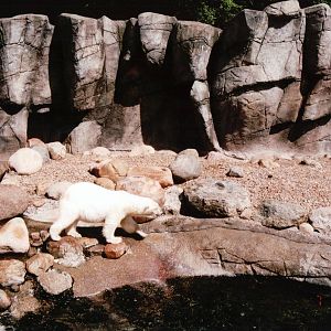 Aalborg Zoo 2002 - Part of the new Polar Bear exhibit