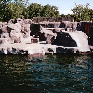 Aalborg Zoo 2002 - South American Sea Lion exhibit