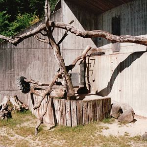 Aalborg Zoo 2002 - First Orangutan exhibit