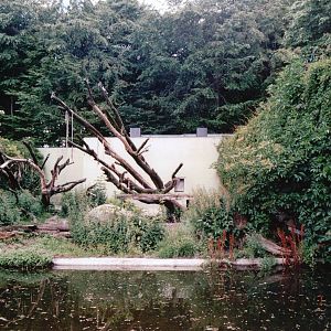 Aalborg Zoo 2002 - Part of the Amur Tiger exhibit