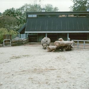 Copenhagen Zoo 1995 - Part of the old White Rhinoceros exhibit