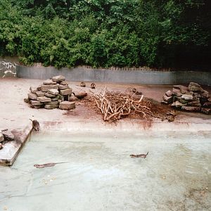 Copenhagen Zoo 2002 - Nutria exhibit