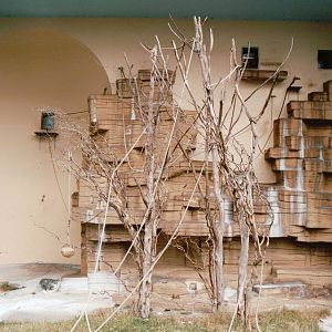 Copenhagen Zoo 2002 - The first of two Primate exhibits