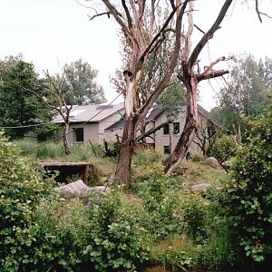 Odense Zoo 2002 - Part of the brilliant Chimpanzee exhibit