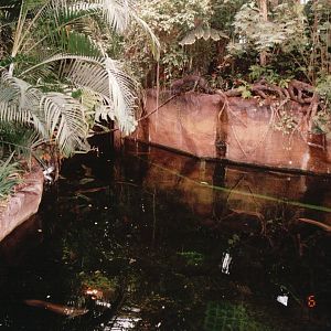 Odense Zoo 2002 - Part of the Caribbean Manatee exhibit