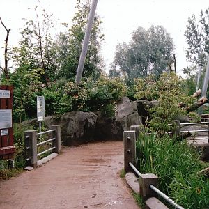 Odense Zoo 2002 - General view in the South American walk-through aviary