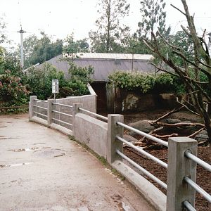 Odense Zoo 2002 - General view in the South American walk-through aviary