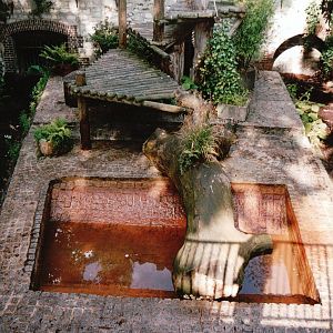 Jardin des Plantes 2002 - Brown Bear pit