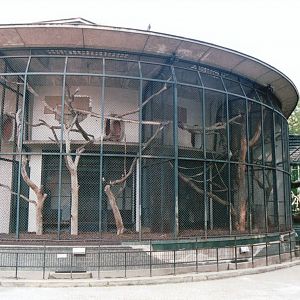 Jardin des Plantes 2002 - Outdoor Primate exhibits